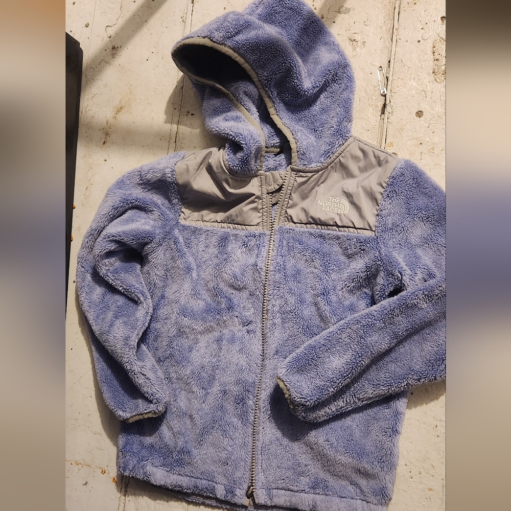 The North Face Blue Fleece Jacket